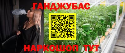 индика Дубна