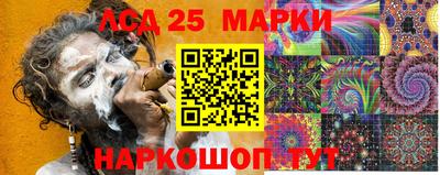 индика Дубна