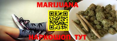 индика Дубна