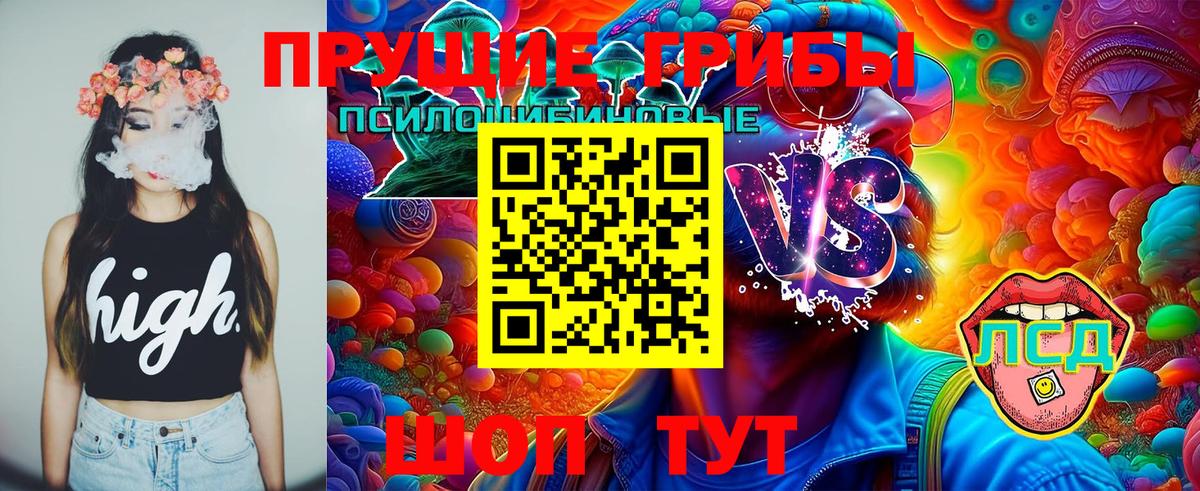 Кызыл  Галлюциногенные грибы Cubensis  Вход с VPN  купить наркотики цена  Галлюциногенные грибы ЛСД 